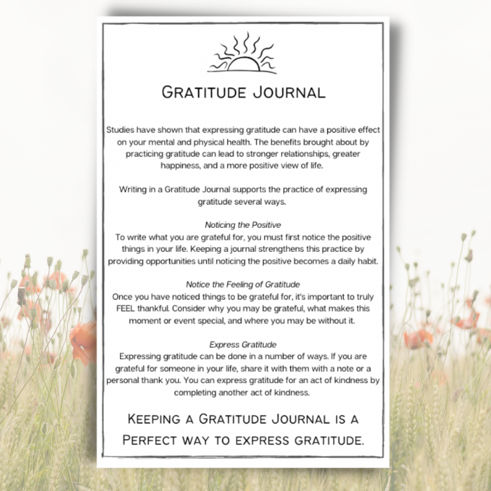 60 Days of Gratitude – Mighty Mindsets